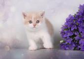 2o8a7538_t1.jpg