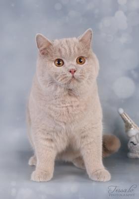2o8a7972.jpg
