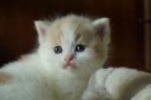 dsc0250811_t1.jpg