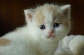dsc0250911_t1.jpg