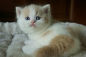 dsc0251911_t1.jpg