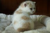 dsc0252711_t1.jpg