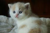 dsc0252811_t1.jpg