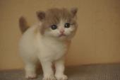 dsc0369111_t1.jpg