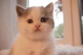 dsc04008_t1.jpg