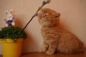 dsc05823_t1.jpg