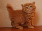 dsc05824_t1.jpg