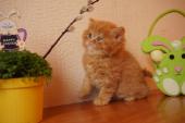 dsc05827_t1.jpg