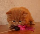 dsc05833_t1.jpg