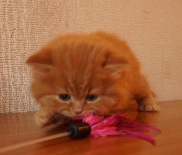 dsc05833.jpg