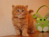 dsc05834_t1.jpg