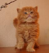 dsc05839_t1.jpg