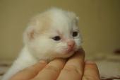 dsc0585611_t1.jpg