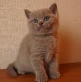 dsc05880_t1.jpg
