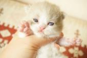 dsc05966111_t1.jpg