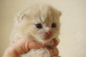 dsc0598711_t1.jpg