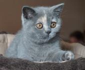 dsc06767_t1.jpg