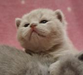 dsc06986_t1.jpg