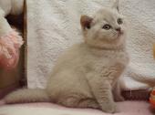 dsc07090_t1.jpg