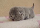 dsc08305_t1.jpg