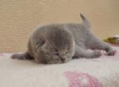 dsc08309_t1.jpg