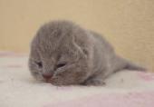 dsc08330_t1.jpg