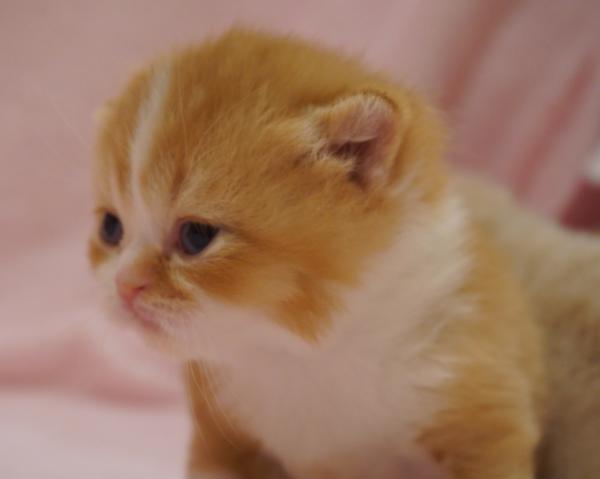 dsc08917.jpg