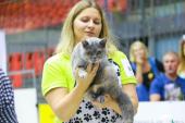 jelgava_2017_07_30-521_t1.jpg